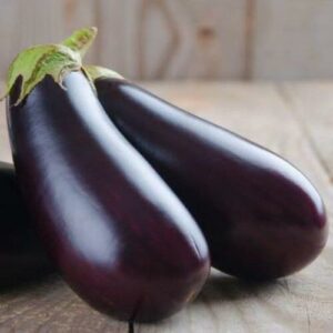 Aubergine Milar en Plants greffés