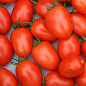 TOMATE ROMA