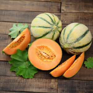 Melon 'Ardor' F1 greffé